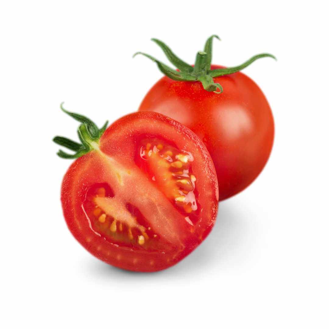 Tomato – Hygrotech SA
