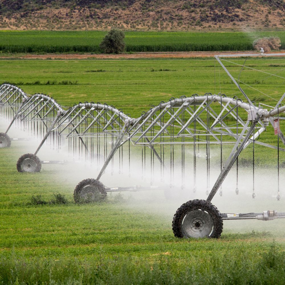Water Quality & Crops