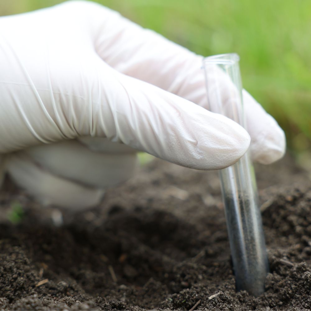 Biofumigation Explained