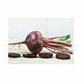 Detroit Dark Red (Main-Season)