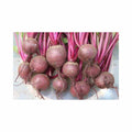 Globe Dark Red (Main-Season)