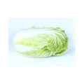One Kilo F1 (Autumn/Spring)