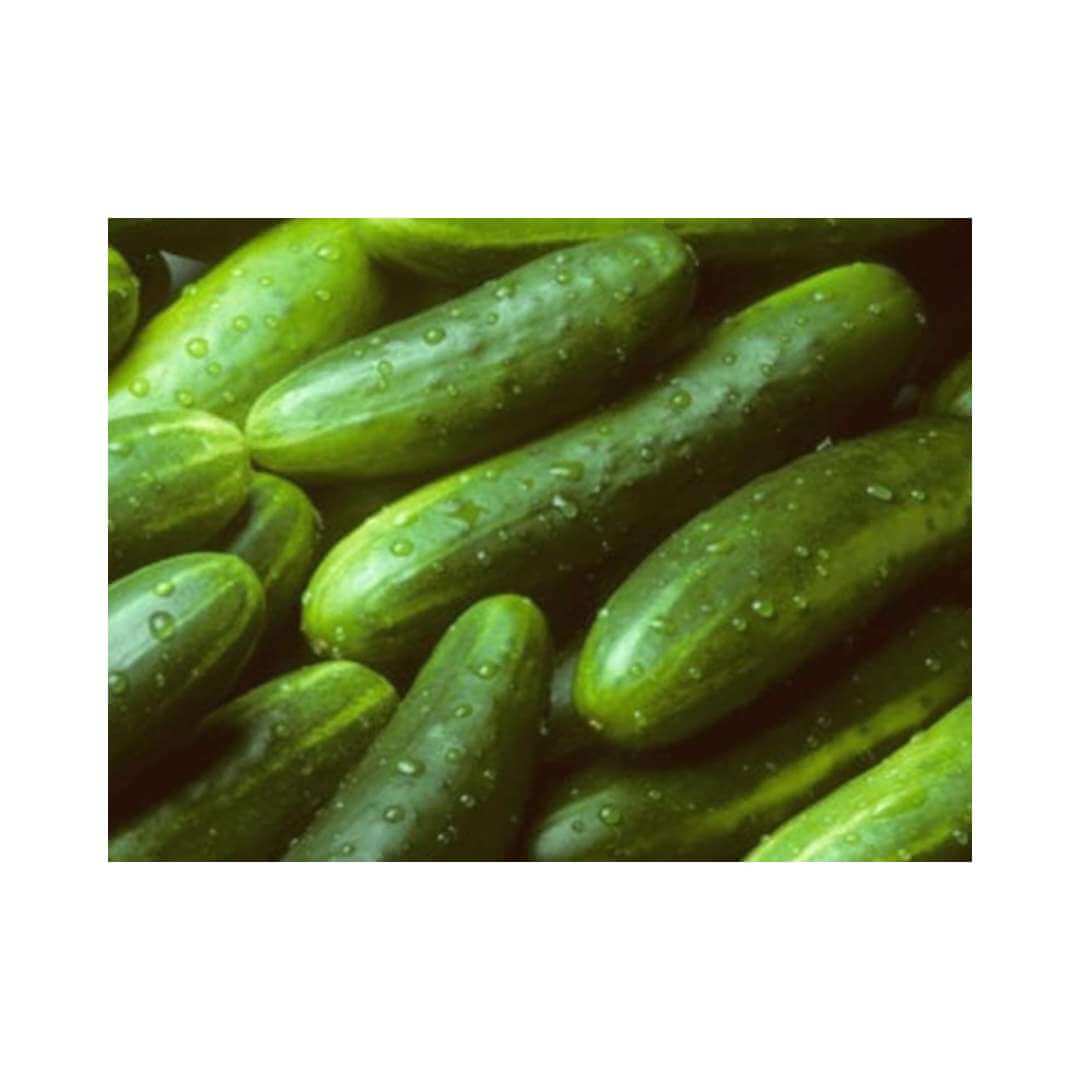 Special Rust Resistant