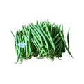 Envoy (Bush Bean)