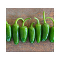 Jalapeño M