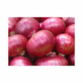 Red Creole