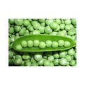 Green Feast (Garden Pea)
