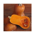 Honeynut F1