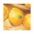 Sunny Delight F1