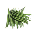 Tahoe (Bush Bean)