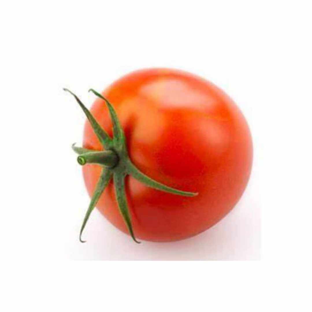 BHN 98 F1 (Main-Season)