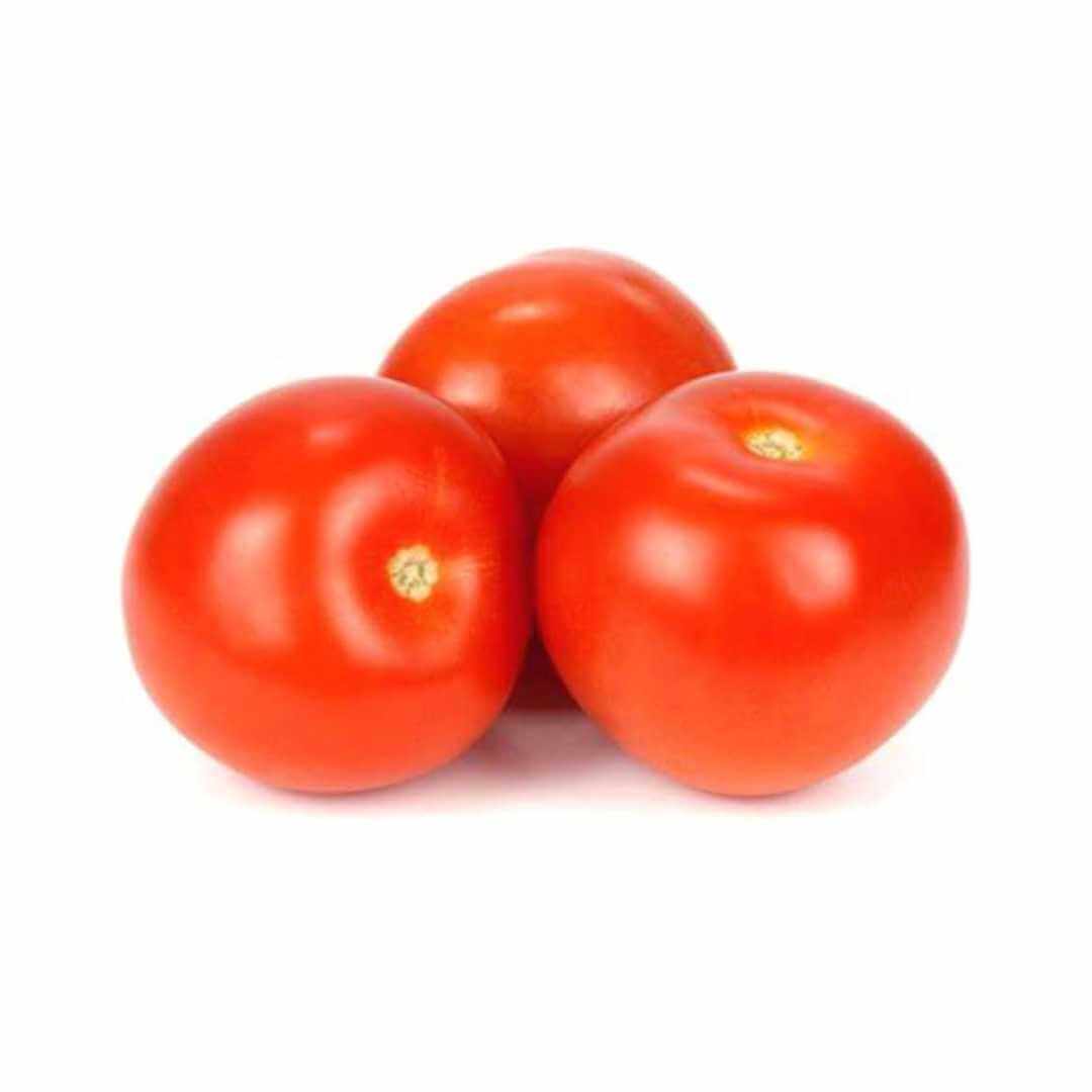 Tomato – Hygrotech SA