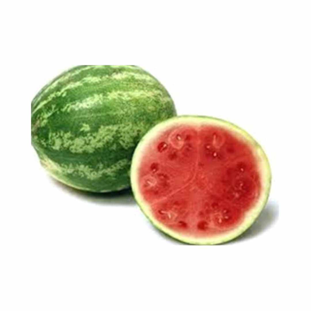 Rocky Ford F1 (Main-Season)