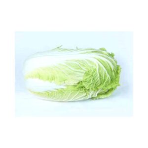 Cabbage-_-ONE-KILO-F1