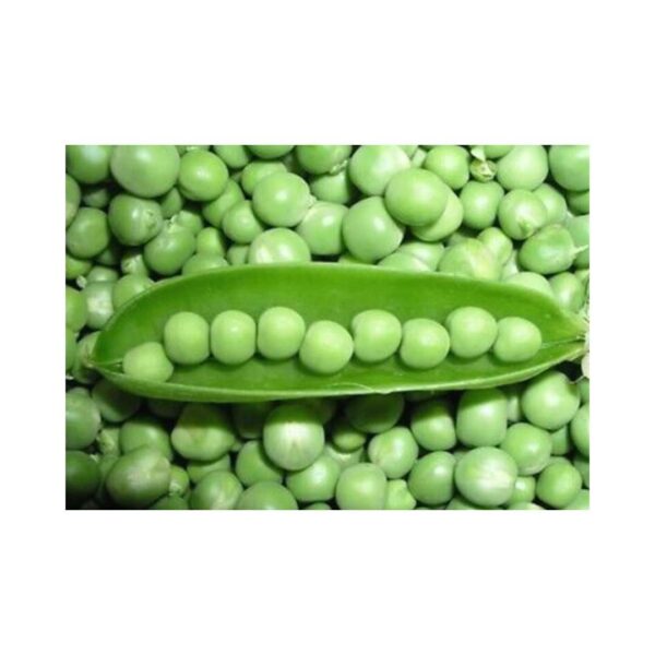 GREEN FEAST-_-Garden Pea