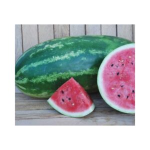 Watermelon _ All Sweet _ Main-Season