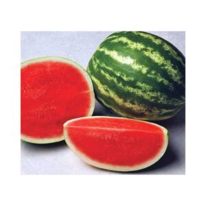 Watermelon _ Carmen F1 _ Main-Season