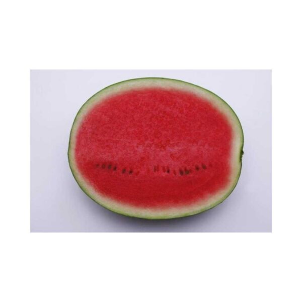 Watermelon _ Red Heaven F1 _ Main-Season