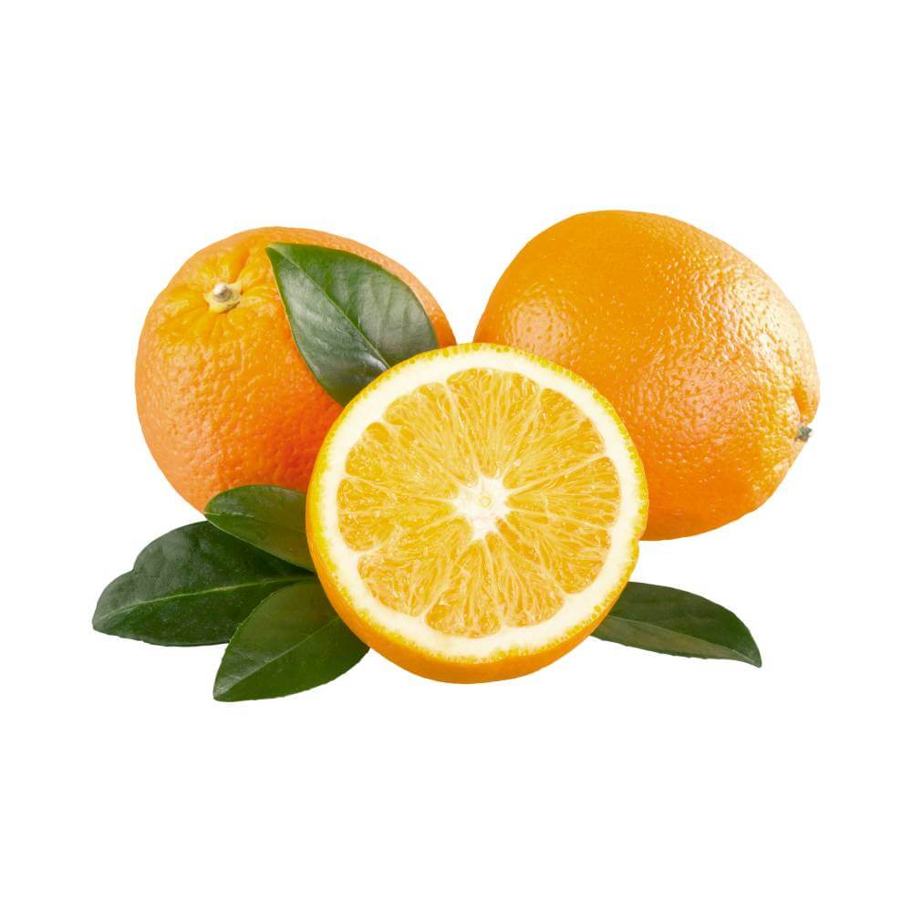 Asco-Gro on Citrus