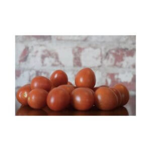 Tomato_Indeterminate Cherry_Rubra F1