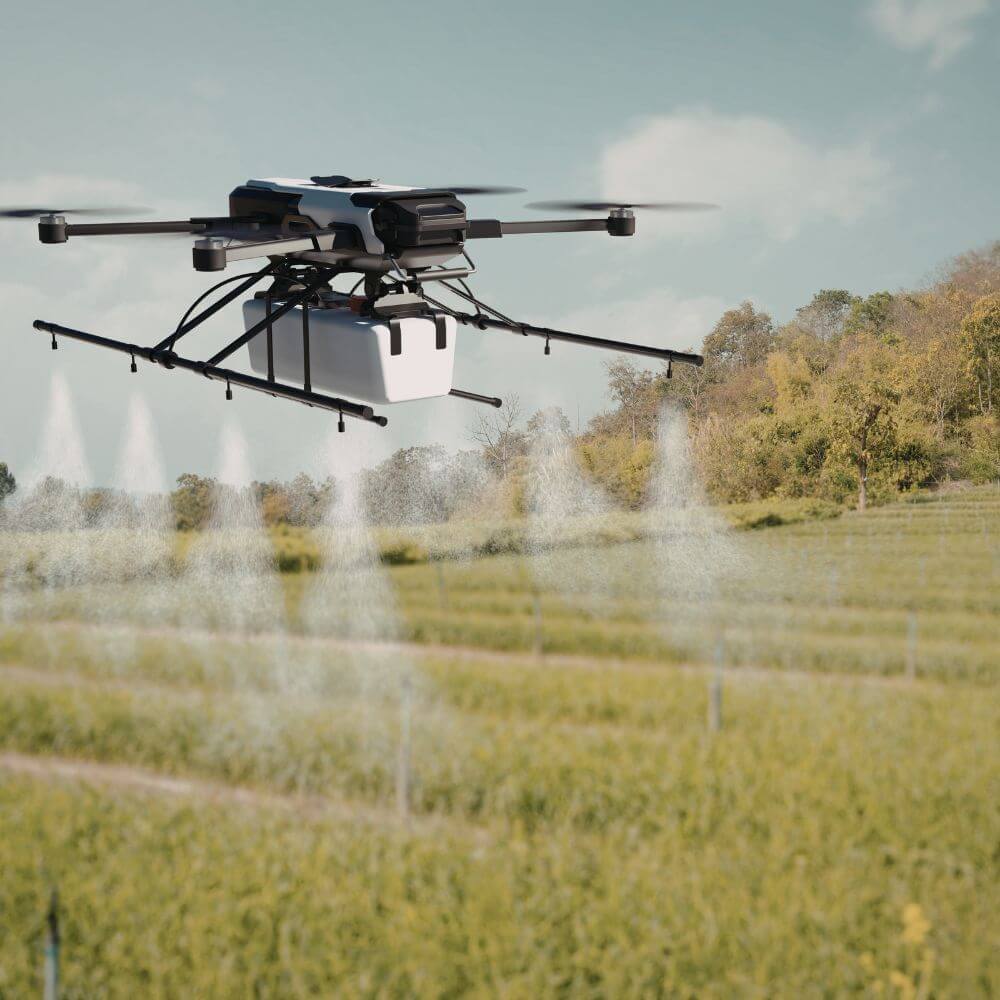 Why Foliar Feed a Plant? Hygrotech SA